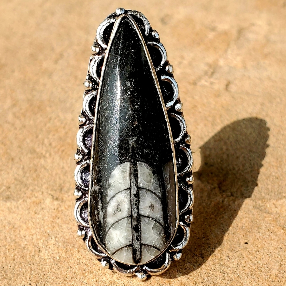 New Orthoceras Fossil Silver Ring.